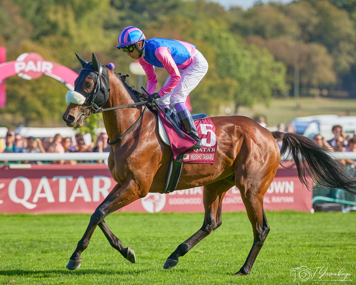 kuritomo24's tweet photo. Photo:2026/10/04
凱旋門賞（G1）

メイショウタバル
武豊騎手

in ParisLongchamp Racecourse🇫🇷

パリロンシャンを走る姿を現地で見届けられてよかった！

ユタカさん＆メイショウタバル
お疲れ様でした🇯🇵🐴

#凱旋門賞 https://t.co/3n8gIrJt20