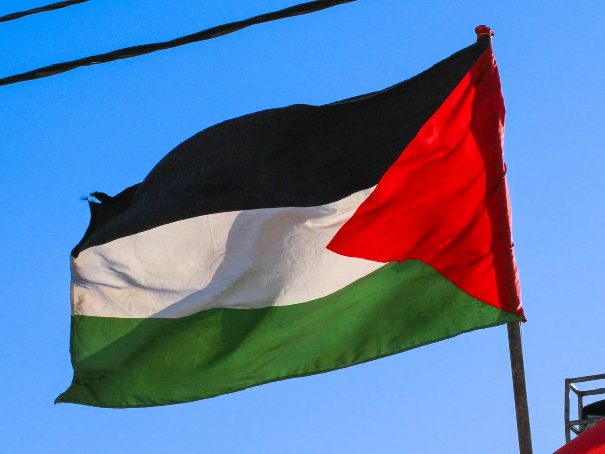 updatecharts's tweet photo. Lula VENCEU o 1° TURNO na Palestina. https://t.co/IaooaREmch