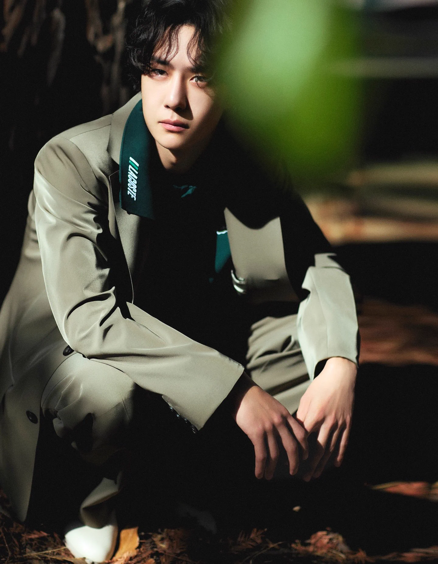 ✿˙❥˙ZhanBo˙❥˙✿ on X: 