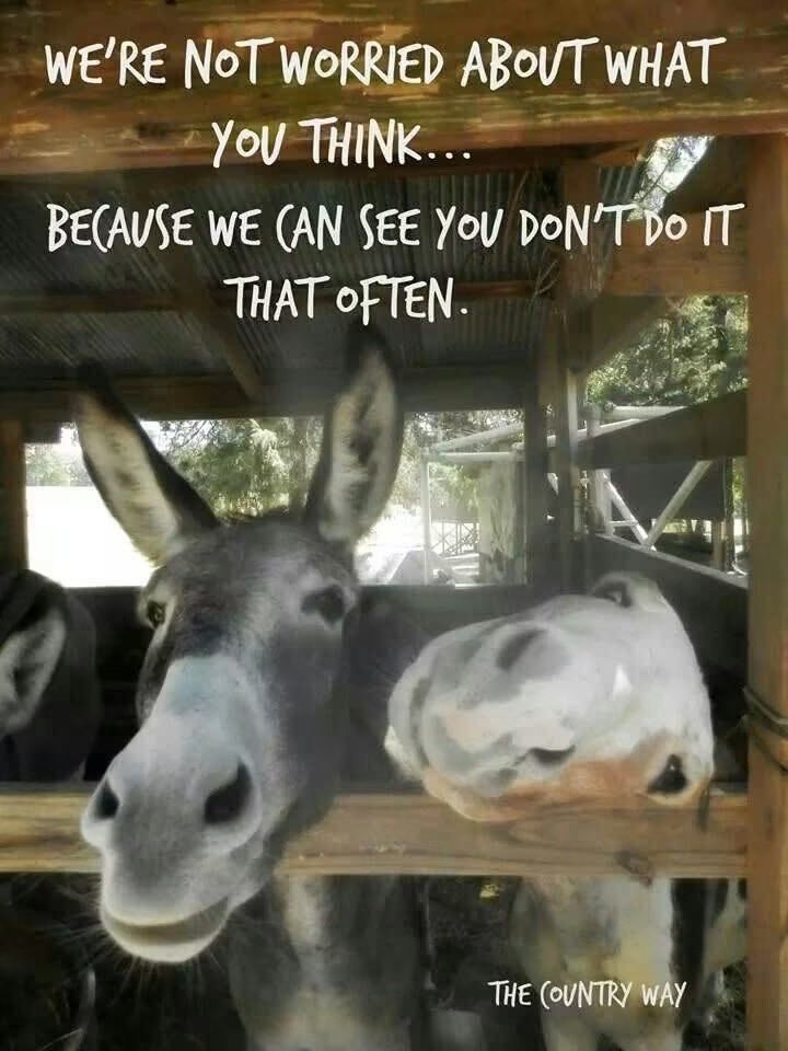 bgrrdops's tweet photo. @SenAdamSchiff You forgot who created the problem as usual Senator #NOINTEGRITY https://t.co/sURxC7mzDN