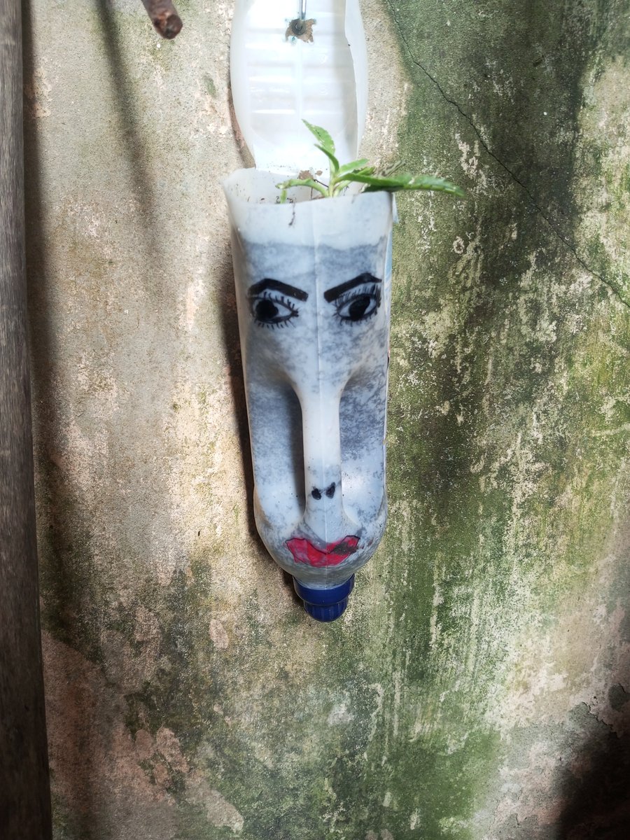 fenoide_'s tweet photo. fui buscar minha vó pra gente ir votar, os vaso dela tudo assim https://t.co/M0k28roMxZ