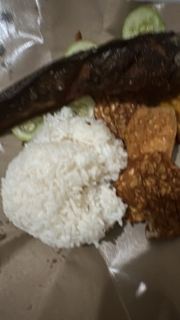 biIliophile's tweet photo. Gw gak suka ikan tapi lele, salmon, tuna (kadang), gurame punya tempat spesial di perut gw https://t.co/6Vz6r5ImtD