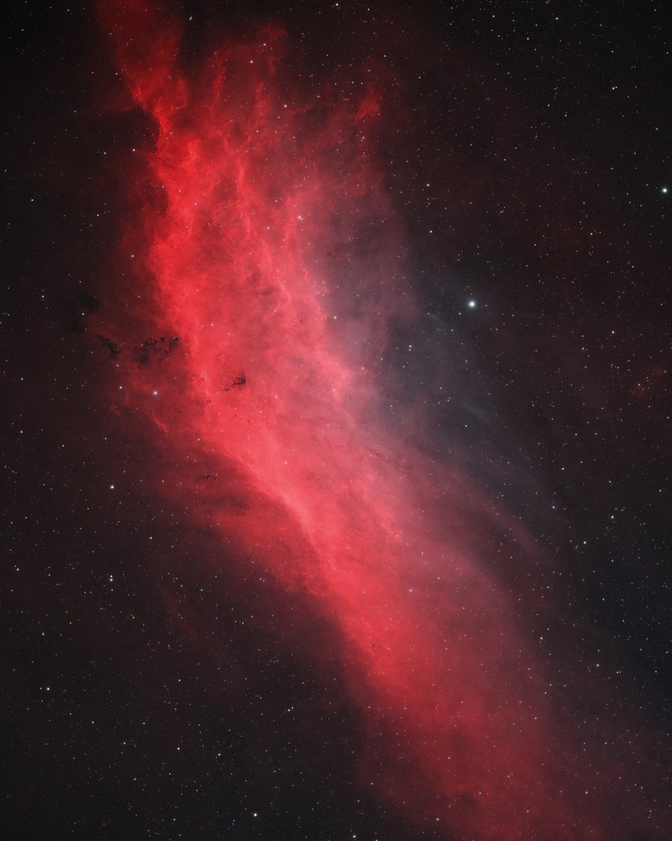 AstroBackyard's tweet photo. The California Nebula 📸

Here's an astrophotography target you can start this month! It's rising higher into the eastern sky each night.

This intense emission nebula lives in the constellation Perseus - and the Pleiades star cluster is not far behind.

This is my latest attempt at NGC 1499 using an ultra-portable camera and telescope rig in the backyard over 2 nights.

As always, I'd love to see your latest image of the California Nebula in the comments 🤓

Equipment Used:

Camera: https://t.co/DwawHh7Z4C
Telescope: https://t.co/IJKLBZBdWG
Mount: https://t.co/A2eKOFft9l

Total Exposure: 9 Hours