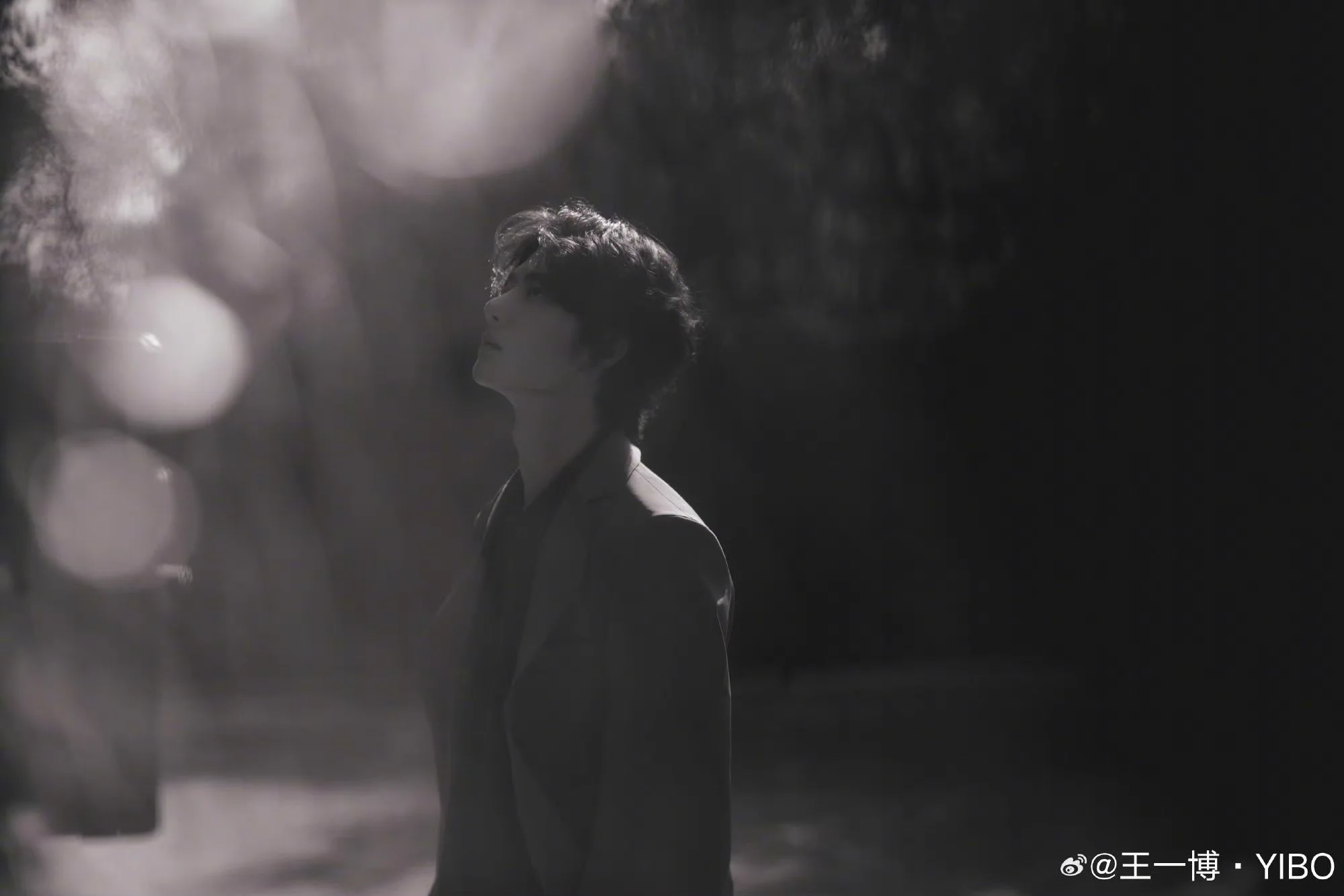 ✿˙❥˙ZhanBo˙❥˙✿ on X: 
