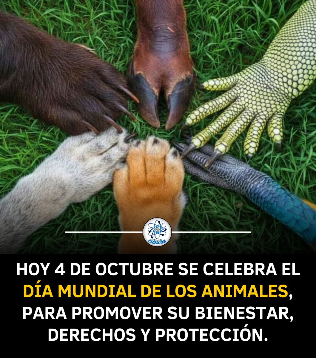 EnsedeCiencia's tweet photo. Cada 4 de octubre se conmemora el Día Mundial de los Animales, una fecha para recordar la importancia de respetar, proteger y garantizar el bienestar de todas las especies con las que compartimos el planeta. 🌍 https://t.co/2cFPaz3xy9