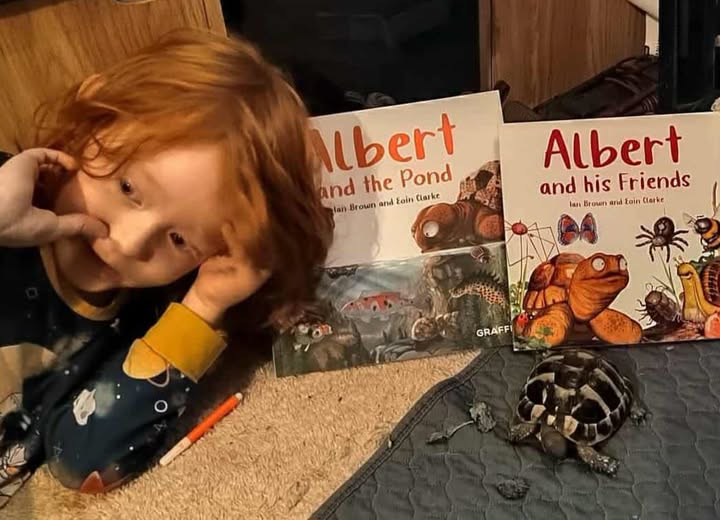 AlbertTortoise's tweet photo. Please keep sharing YOUR #ALBERTthetortoise #pictures. This image just in from #human + #tortoise fans with copies of #BoardBook ALBERT AND HIS FRIENDS &amp; picturebook ALBERT AND THE POND. Available Now 10 ALBERT #picturebooks, 3 #BoardBooks &amp; #ActivityBook https://t.co/WA5TBITS18 https://t.co/5KkGs4btSr