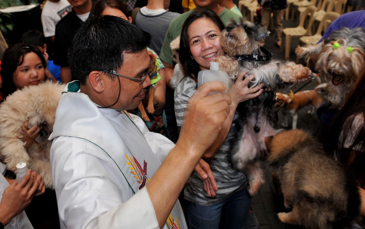 DianeLegacy1's tweet photo. A special day for our four-legged friends. 🐶🐱❤️

Pet owners in Manila brought their dogs, cats and even a pet snail to church for a St. Francis blessing.

A beautiful reminder of how much pets mean to us.

#Pets #Dogs #Cats #AnimalLovers https://t.co/K0KWJfytJY