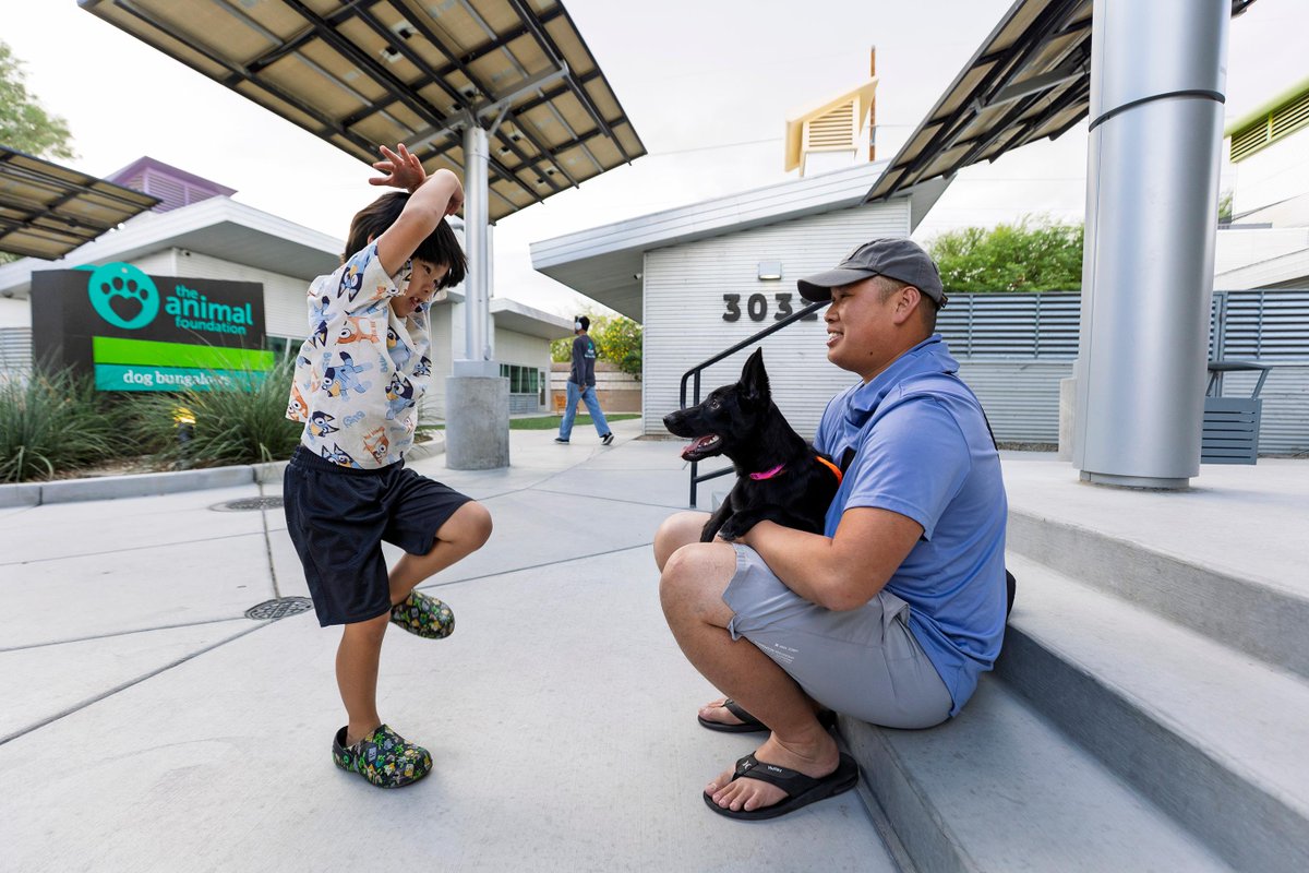 DianeLegacy1's tweet photo. Sometimes, all a shelter dog needs is a day out. 🐶❤️

Las Vegas has launched “Doggy Days Out,” giving shelter dogs the chance to spend hours—or even up to two weeks with temporary foster families.

Every dog deserves a chance.

#AdoptDontShop #RescueDogs #Dogs https://t.co/wVj1lkr0ms