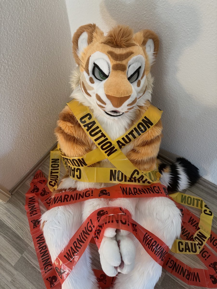CaidaTigre's tweet photo. Approach with caution… or come set me free? 🐯

📸 @fusky_husky https://t.co/3ocmIxkxQg