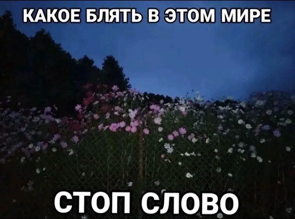 vanil1adoll's tweet photo. завтра опять понедельник https://t.co/7gn0KnqI2t