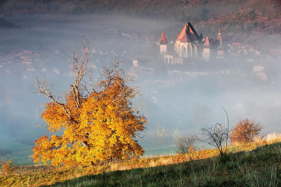 LaurenFairways's tweet photo. October might be Europe’s best-kept secret. 
From Transylvania’s autumn landscapes to Malta’s Mediterranean sunshine and San Sebastián’s food scene, Europe is entering one of its most beautiful travel seasons.
Where would you go?
#Europe #Travel #AutumnTravel #TravelInspiration https://t.co/ipZ2ejAIQp