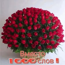 gera__gerochka's tweet photo. @darinapaz991 Обнимаю.😘🫶 https://t.co/XAv9gRPdtG