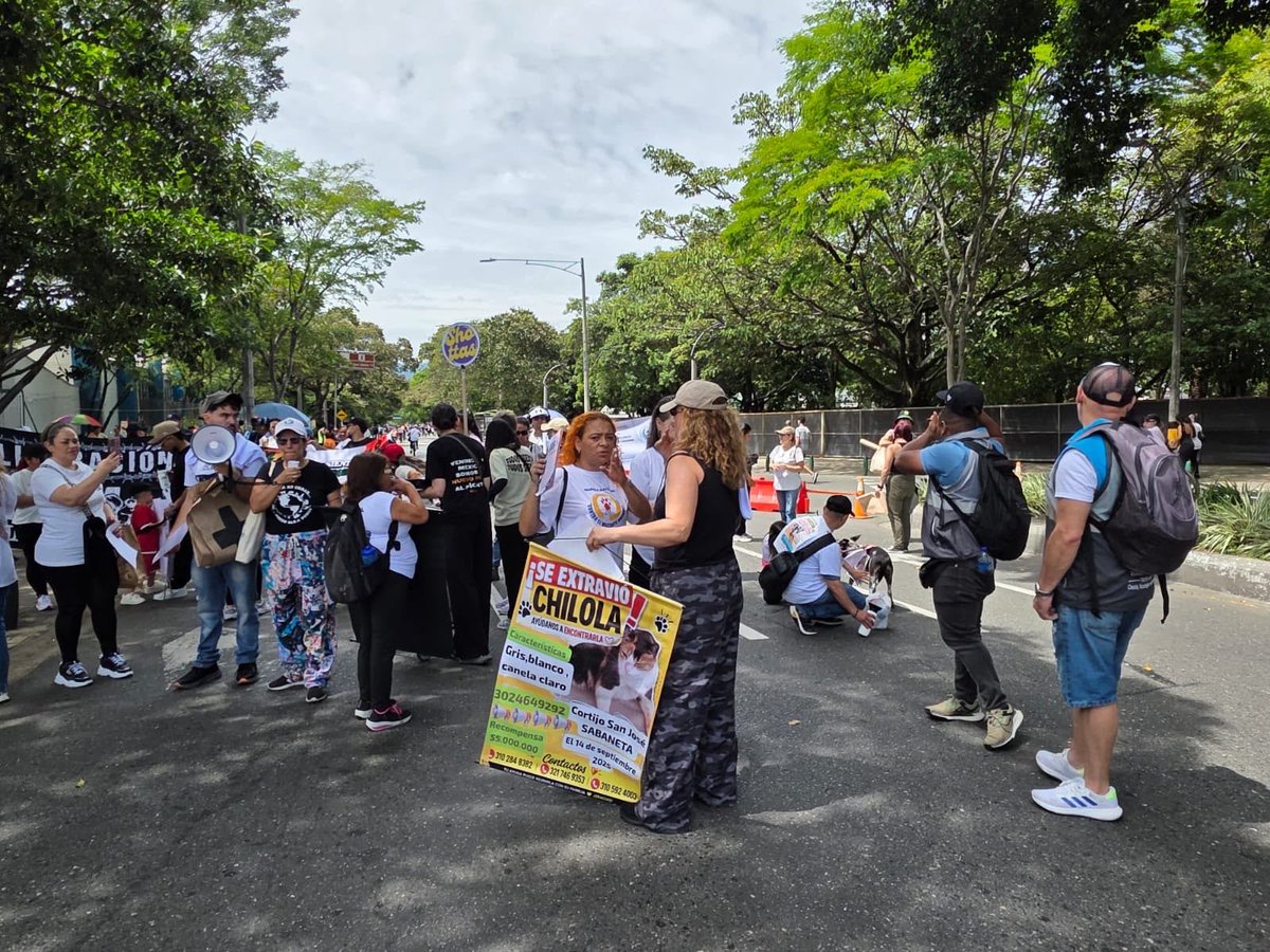 arcilaDDHH's tweet photo. Acompañamos la movilización ciudadana con diálogo y respeto.

Desde la @AlcaldiadeMed en articulación con la Defensoría del Pueblo, coordinamos el acompañamiento a la marcha animalista en el sector del Estadio.

Seguimos garantizando el ejercicio de la participación ciudadana y el desarrollo seguro y respetuoso de estas jornadas. @FicoGutierrez @PazDDHHmed