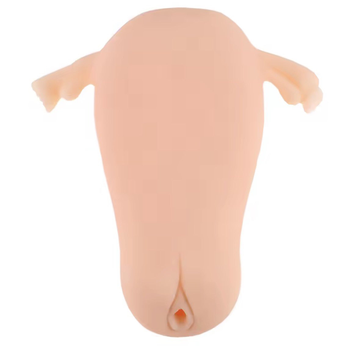 boobsforbrainz's tweet photo. uterus pocket pussy https://t.co/9Bbpf3hvpx