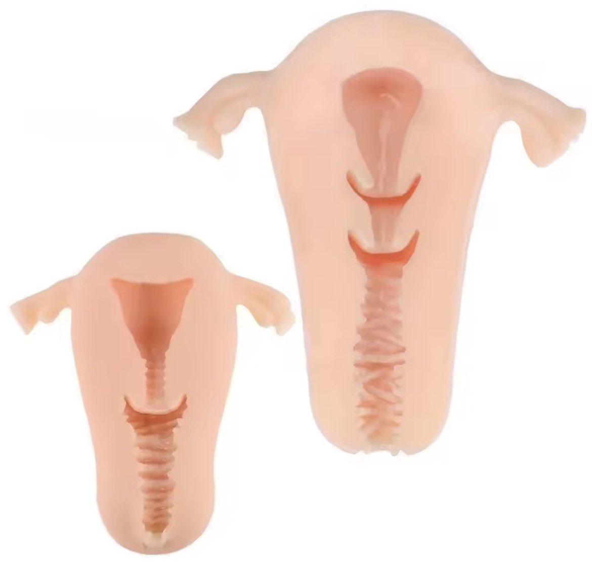 boobsforbrainz's tweet photo. uterus pocket pussy https://t.co/9Bbpf3hvpx