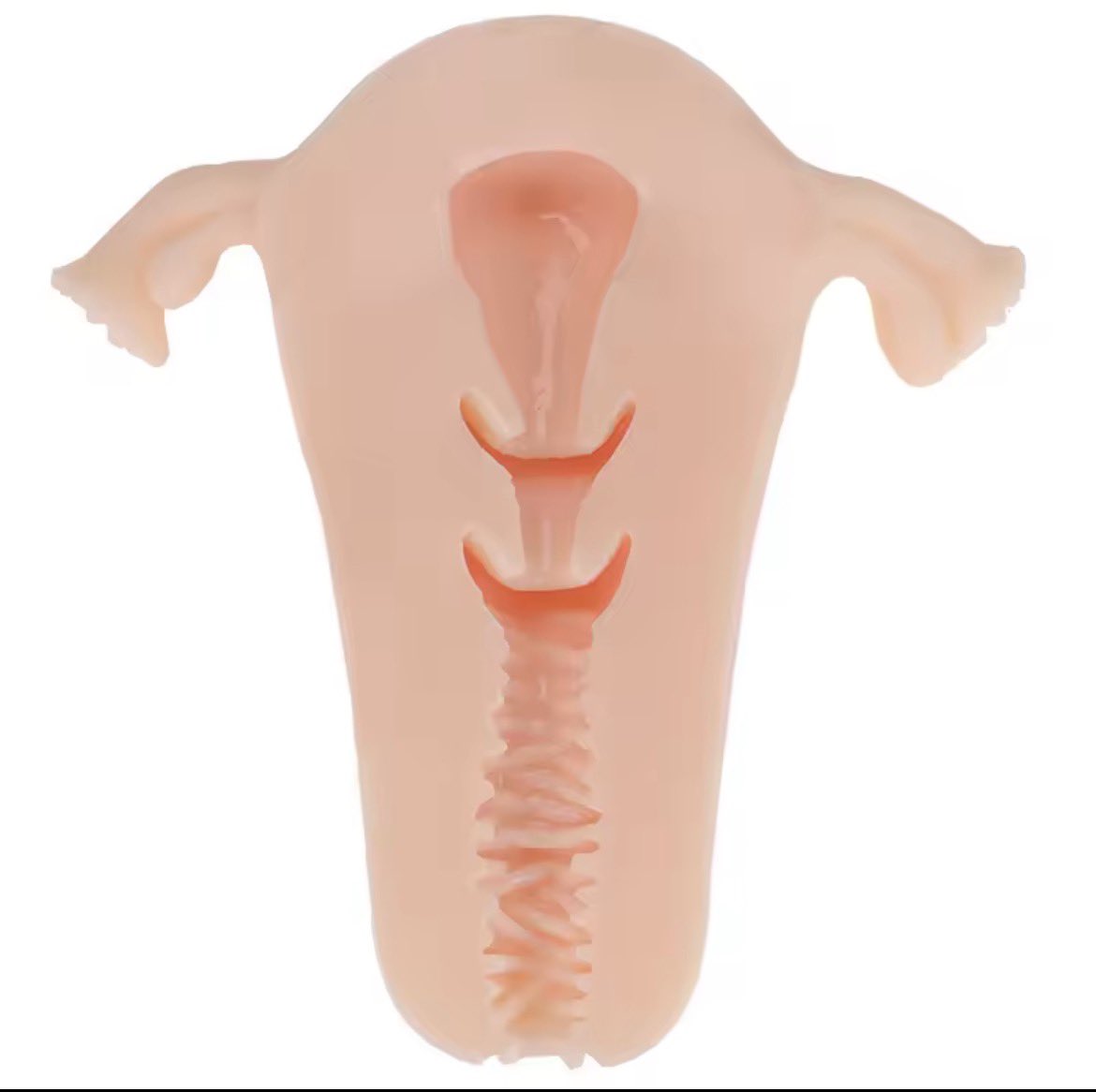 boobsforbrainz's tweet photo. uterus pocket pussy https://t.co/9Bbpf3hvpx