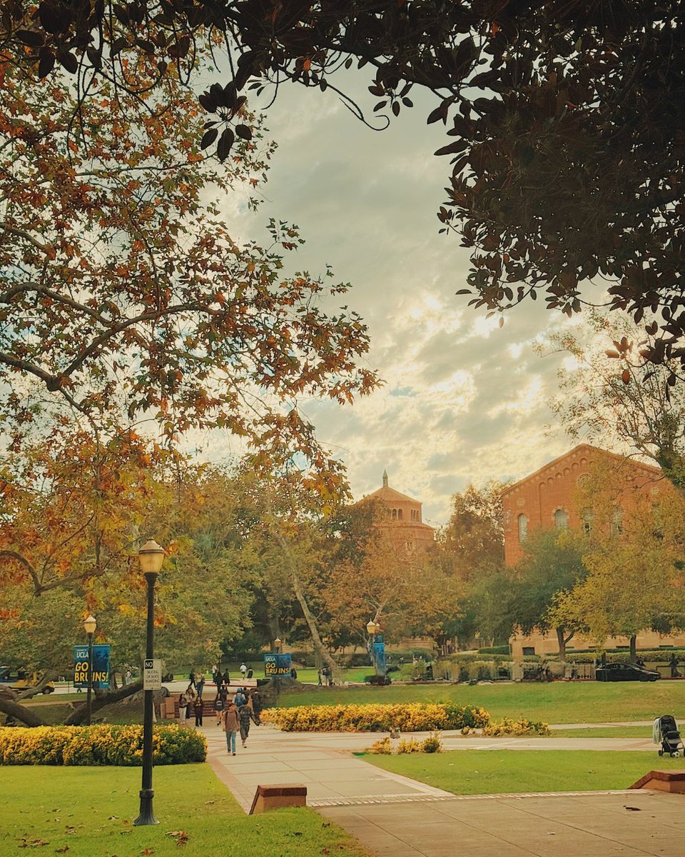 UCLA's tweet photo. Little glimpses of fall  🍂

📸: laurattruong on Instagram 

Want to be featured on our channels? Review our terms and share your scenic campus photos with us: https://t.co/FtTj4VWVGb https://t.co/74uGfP2gCK