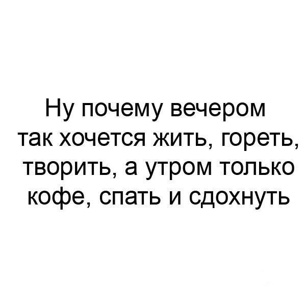 MrLeekhow's tweet photo. https://t.co/pIIV71h55w