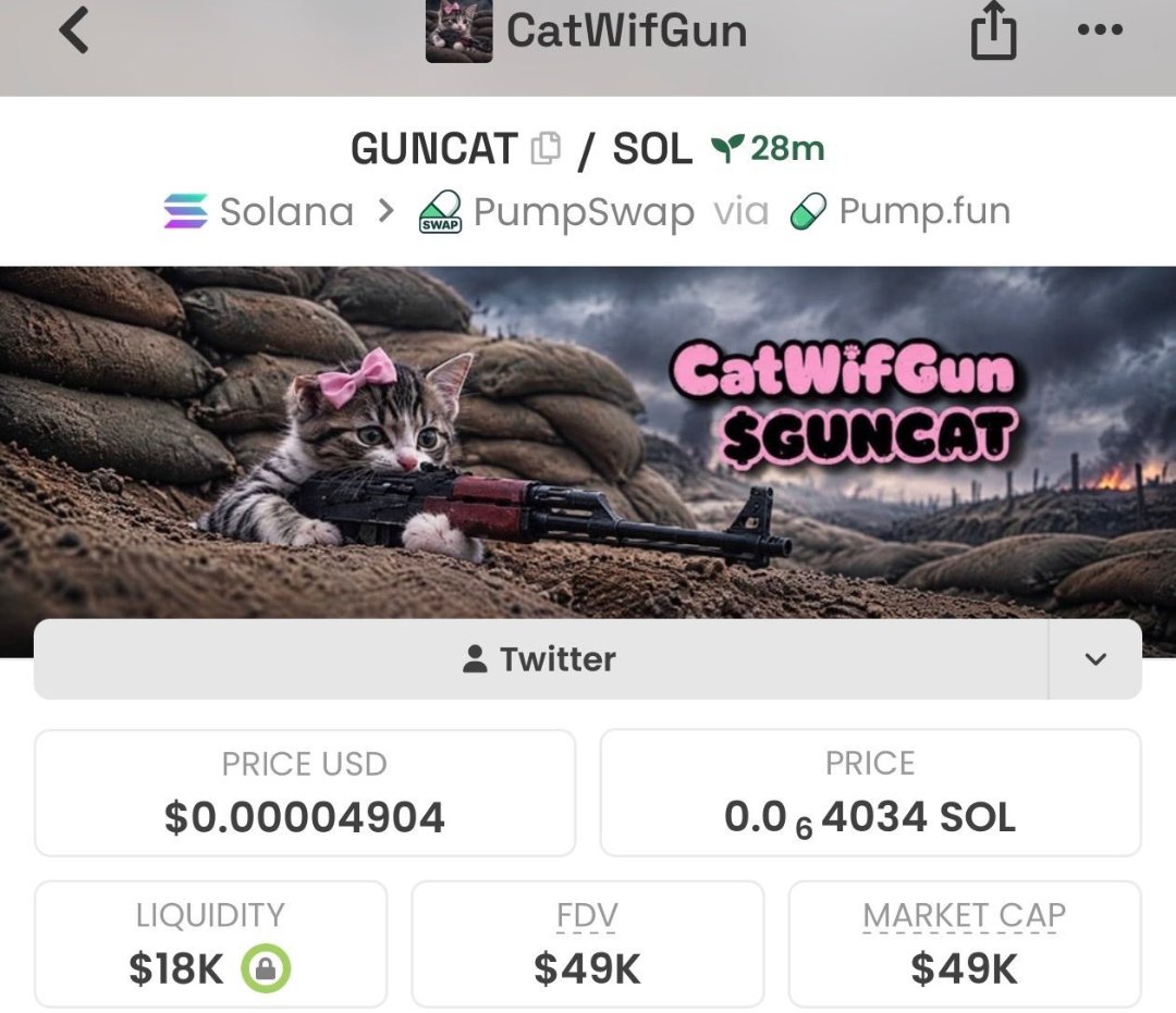 Felipetees's tweet photo. $GUNCAT🐱🚨 $GUNCAT — 49K MC

Still sitting in the early-cap zone, with plenty of room for market attention to develop if momentum arrives. 👀📈

I’m keeping this one on the radar alongside other fresh launches. Do your own research and manage risk carefully.

Want the latest names I’m watching? DM me for access to the private VIP watchlist. 🔐

CA: AeM3A6Ebj1CYZDMGqv3XYCevDQ2qodToxGr98NLmpump