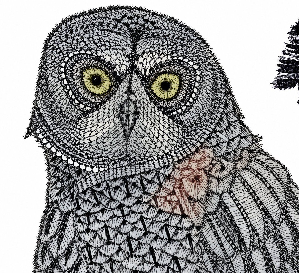 SolarSignanb's tweet photo. $OWL on Solana has a sharper hook than generic AI branding.

In Bostrom’s fable, the owl represents the powerful intelligence the sparrows want to recruit.

That gives Superintelligence Owl a very specific identity: the creature everyone wants to build. 🦉

https://t.co/4oe7X3ZAXw
