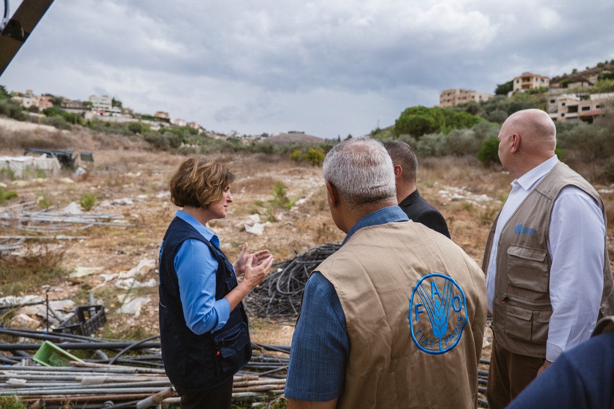 FAOADG_NENA's tweet photo. In Zebdine, South Lebanon, we saw greenhouses damaged by the conflict and heard from farmers about the impact on production, the challenges they face and what they need to recover.

Restoring local food production is essential to protect livelihoods and strengthen #FoodSecurity. https://t.co/fDi86EiOGf