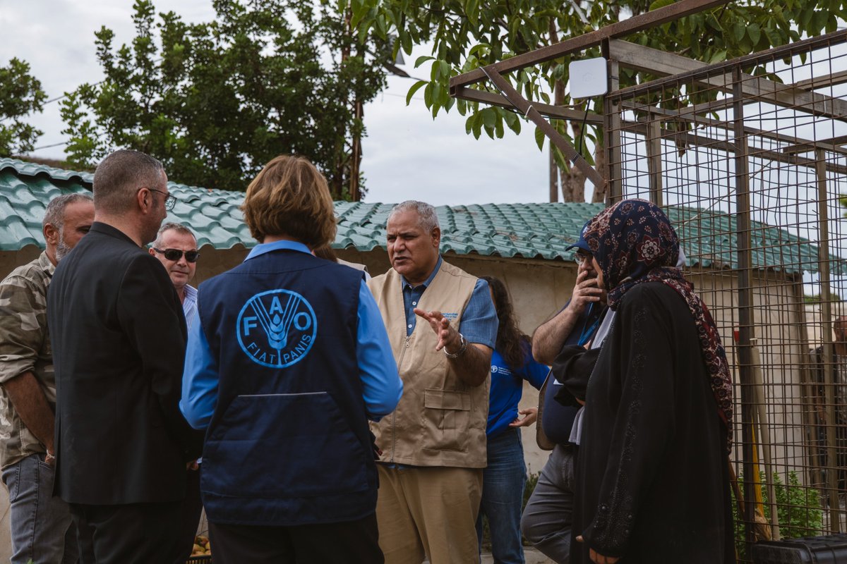 FAOADG_NENA's tweet photo. In Zebdine, South Lebanon, we saw greenhouses damaged by the conflict and heard from farmers about the impact on production, the challenges they face and what they need to recover.

Restoring local food production is essential to protect livelihoods and strengthen #FoodSecurity. https://t.co/fDi86EiOGf