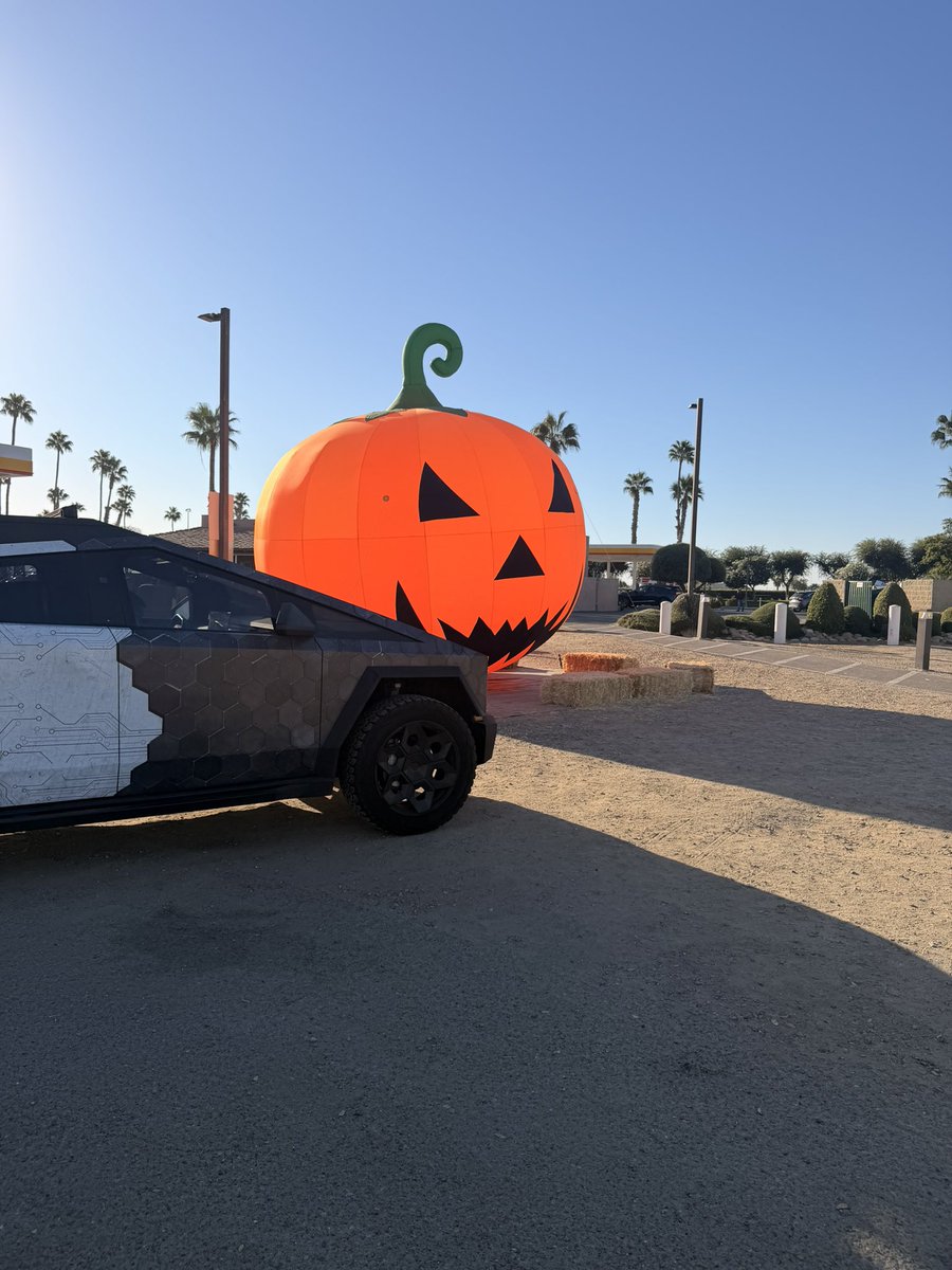 teslaownersSV's tweet photo. Halloween x Starship https://t.co/t2Vs4cXtW2