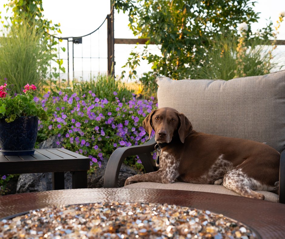 AllBackyardFun's tweet photo. The best backyards are for the whole family—including the four-legged ones who claim the best seat. 🐶❤️Show us a photo of your four-legged family member enjoying the backyard!

Shop Now!  https://t.co/DkZqTqI37v

#WorldAnimalDay #PetFriendly #OutdoorLiving #AllBackyardFun https://t.co/Uk9UZXNIgQ