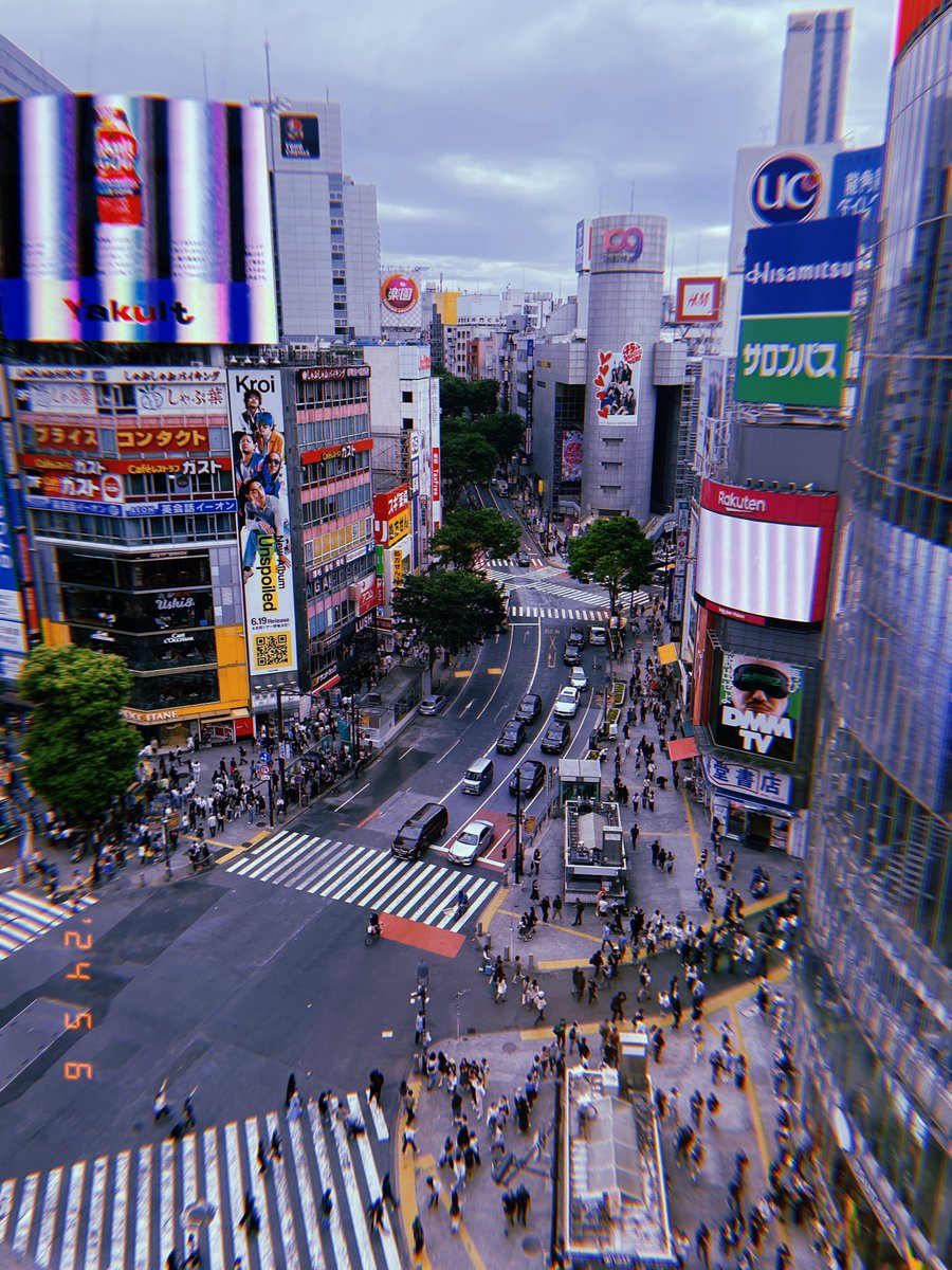 jotm0310's tweet photo. #10月4日はマルシーの日
おおお〜っと仕事終わってぼんやりしてたら投稿忘れとった〜〜💦💦

いろんな距離、角度で撮ったマルシーです
何回でも撮りたくなるマルシー https://t.co/udYXIFm1BI
