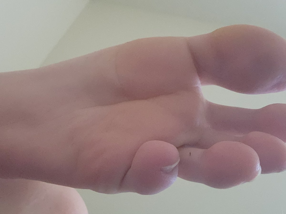 PawsOfJackson's tweet photo. Foot morning everyone! I hope you all have a wonderful sunday! (And if you're so inclined, a wonderful time jerking off to my feet :3) https://t.co/LDGc16lwh1
