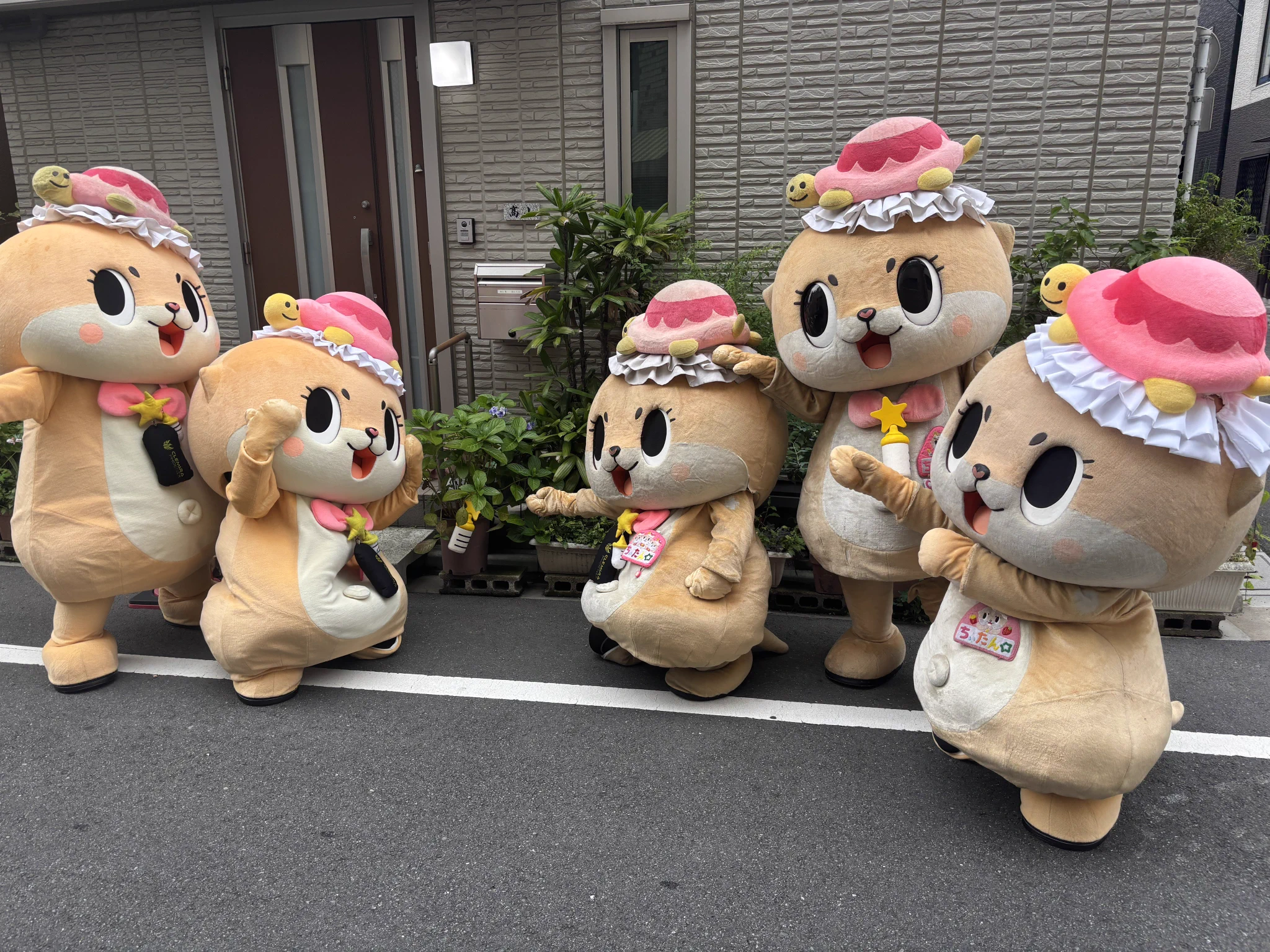 あ～にｬ☆10/10 ちぃたん☆ハロウィン遊ぼ会(* ﾟー ﾟ)(*´σ｀)川