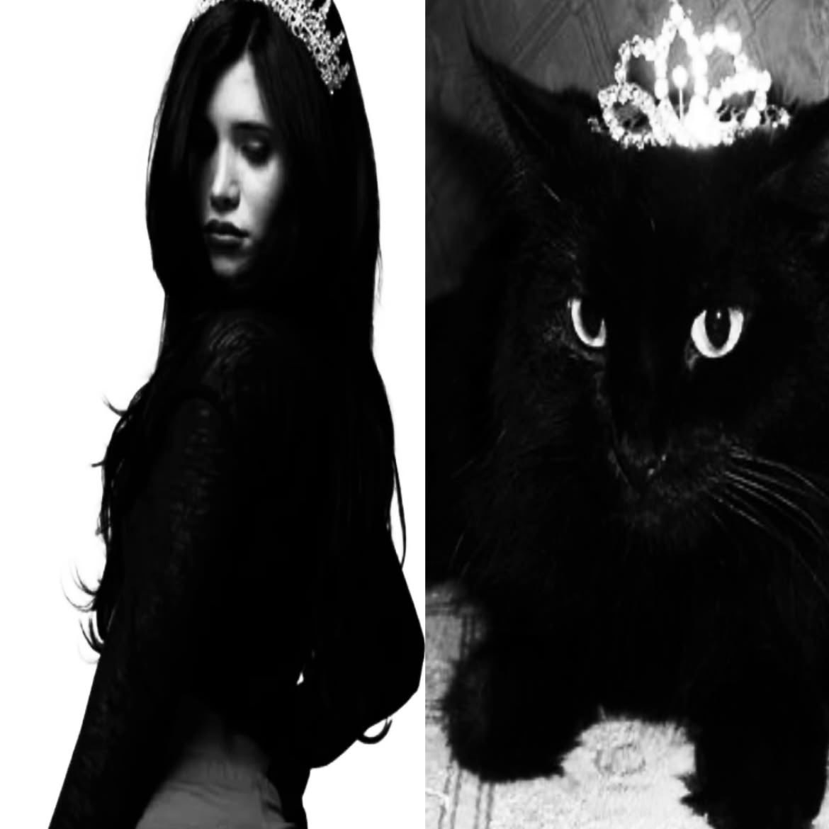 motelvamp's tweet photo. https://t.co/KL19WITjWJ