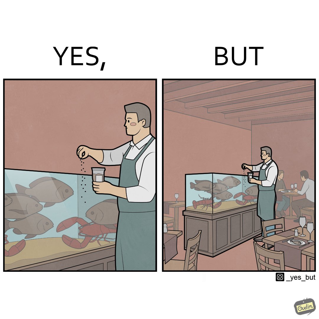 _yesbut_'s tweet photo. World Animal Day Yes, But https://t.co/C75PmUKh07