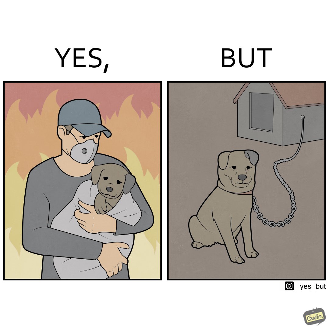 _yesbut_'s tweet photo. World Animal Day Yes, But https://t.co/C75PmUKh07