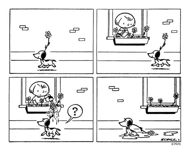 Okonkwo_Sports's tweet photo. Snoopy’s first appearance 76 years ago https://t.co/OS5aYMFRx4