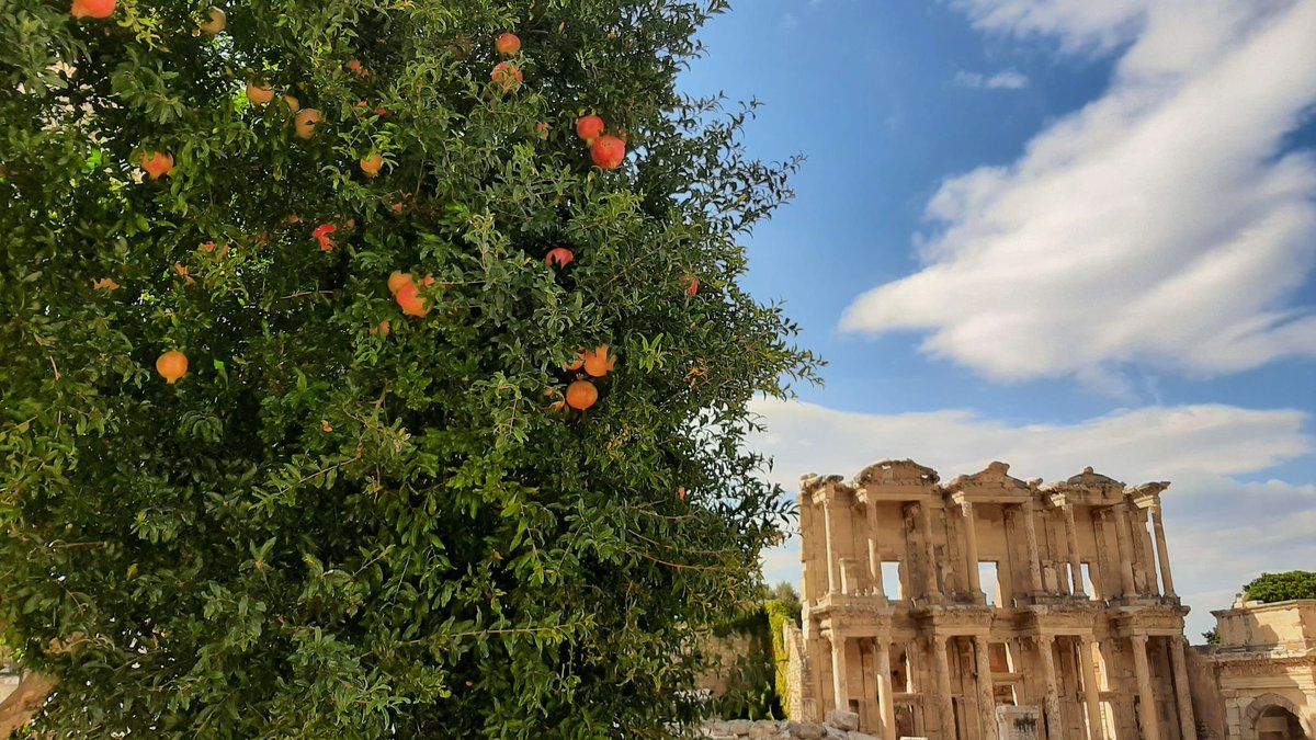 Kaan_H_Okten's tweet photo. Nar ağacı, Celsus Kütüphanesi ve bulutlu gökyüzü... https://t.co/CrNHWj60Uf