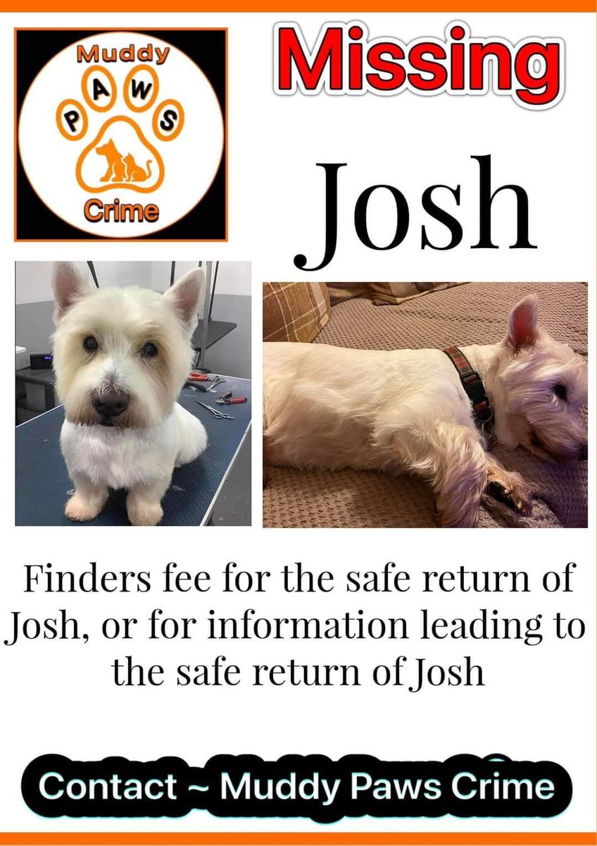 MissingPetsGB's tweet photo. #stolendoghour 3 years ago Josh vanished from his garden.

Josh is an elderly west highland terrier who has been missing since 25 April 23 from Nitshill #Glasgow

Please if you have any information at all please contact. Finders fee for his safe return. https://t.co/d1cPIqnMsY