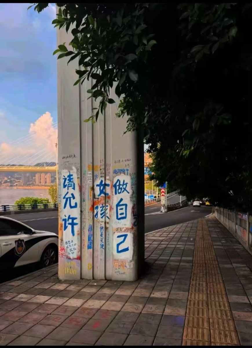 laoyan86's tweet photo. 某地立交桥墩反复被人涂抹女性主义口号，不少女孩把照片当成了手机屏保，到底谁阻止女孩做自己了？虚空索敌、迫害妄想症这一块。 https://t.co/rC4JivmO90