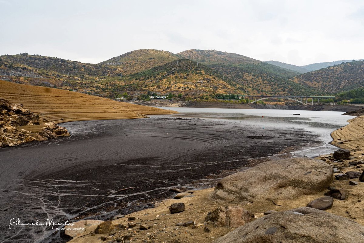 InfuesAvila's tweet photo. Así empieza el desastre en el agua del burguillo. Las entradas empiezan a llenarlo de cenizas.

Foto de Eduardo Morales

@naturalezacyl @112cmadrid @112cyl @chtajo https://t.co/6KXaRM8wqb