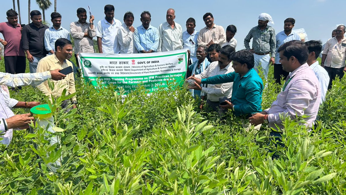 CIPMCHyd's tweet photo. Particular emphasis was laid on timely identification of pests, regular field surveillance, conservation and utilization of beneficial organisms, adoption of biological and mechanical methods, judicious use of pesticides and safe handling of plant protection chemicals. https://t.co/BfH3s3nSNn