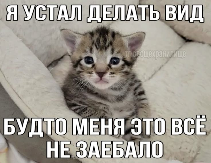 lltigervy's tweet photo. https://t.co/XNjIsFeXsh