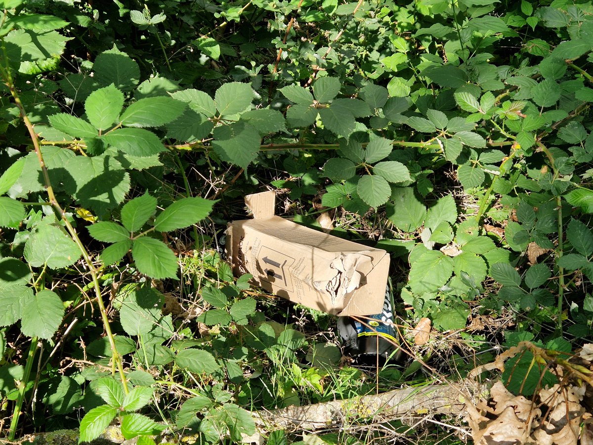 EBS023's tweet photo. Koffie rondje naar mijn vader, thee rondje naar schoonmoeder. 2 keer richting het dorp #Poortugaal
4 tassen vol met glas, blik en afgedankt afval zo op straat geflikkerd. 2 gasflessen konden er ook nog wel bij...
#Supportervanschoon #TrashWalking #zwerfie #Albrandswaard https://t.co/AYvZErlkQe