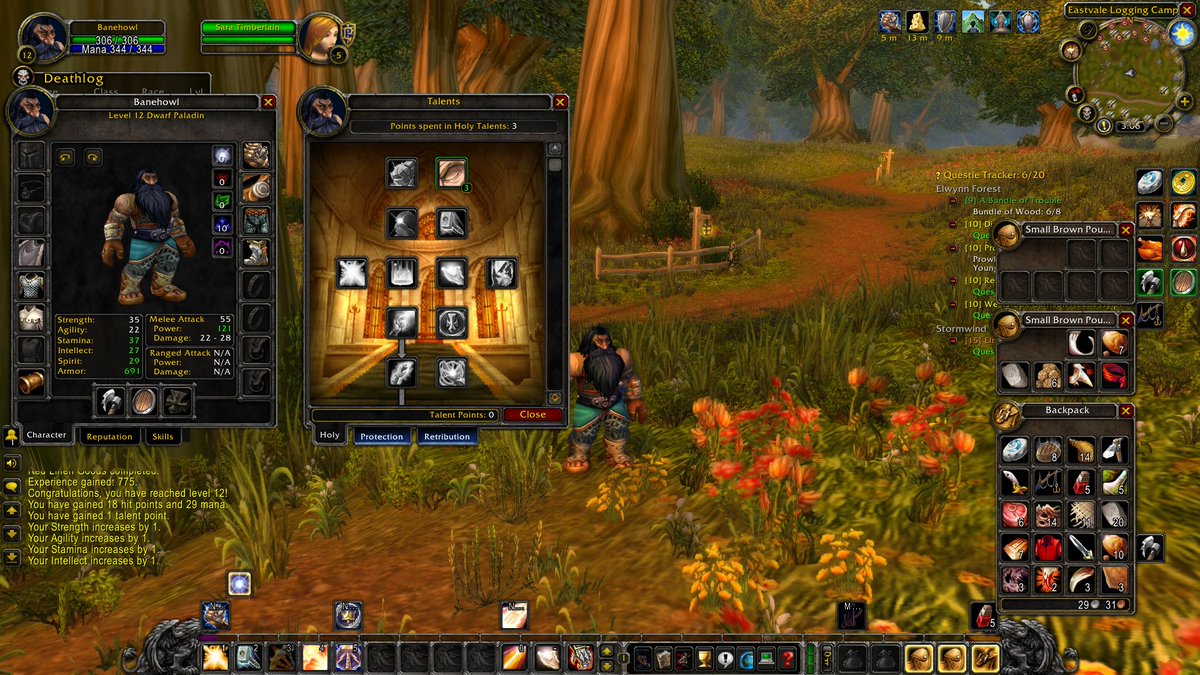 408Banehowl's tweet photo. DING level 12. Nothing notable. Just grinding quest and saving money. https://t.co/ar7PZigtBd