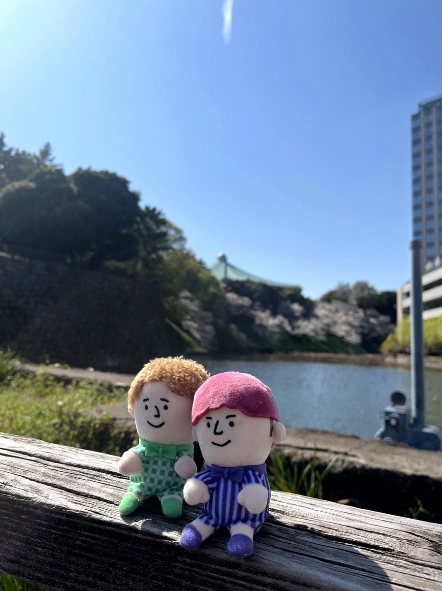 diaas_bruno's tweet photo. こんばんはなのです！(≧∇≦)
14時ぐらいまで寝たり起きたりで過ごし、その後はゲームをしつつ色々しながらまったりと過ごしていたのです！(о´∀`о)
残りの時間も、まったりと色々しながら過ごそうと思うのです〜！( *´︶`*) https://t.co/AAxlbrximG