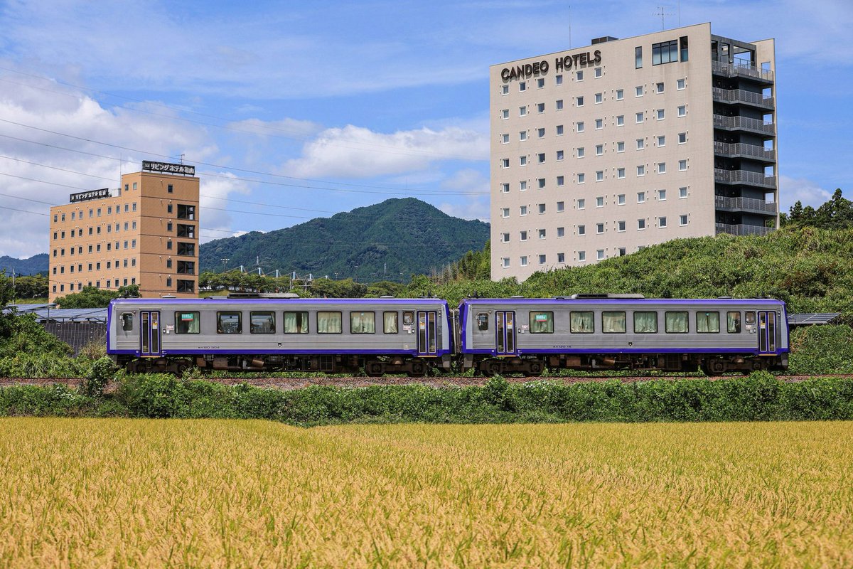 canberk35353's tweet photo. とにかく旦那は頼りになる…！
結婚式も引っ越しも、旅行などとにかく全てイベント全部決めてくれたり、やってくれる…神なのでは…？
今度行くハネムーンも99%お任せコース🫶笑 https://t.co/0NGv1nmbEf
