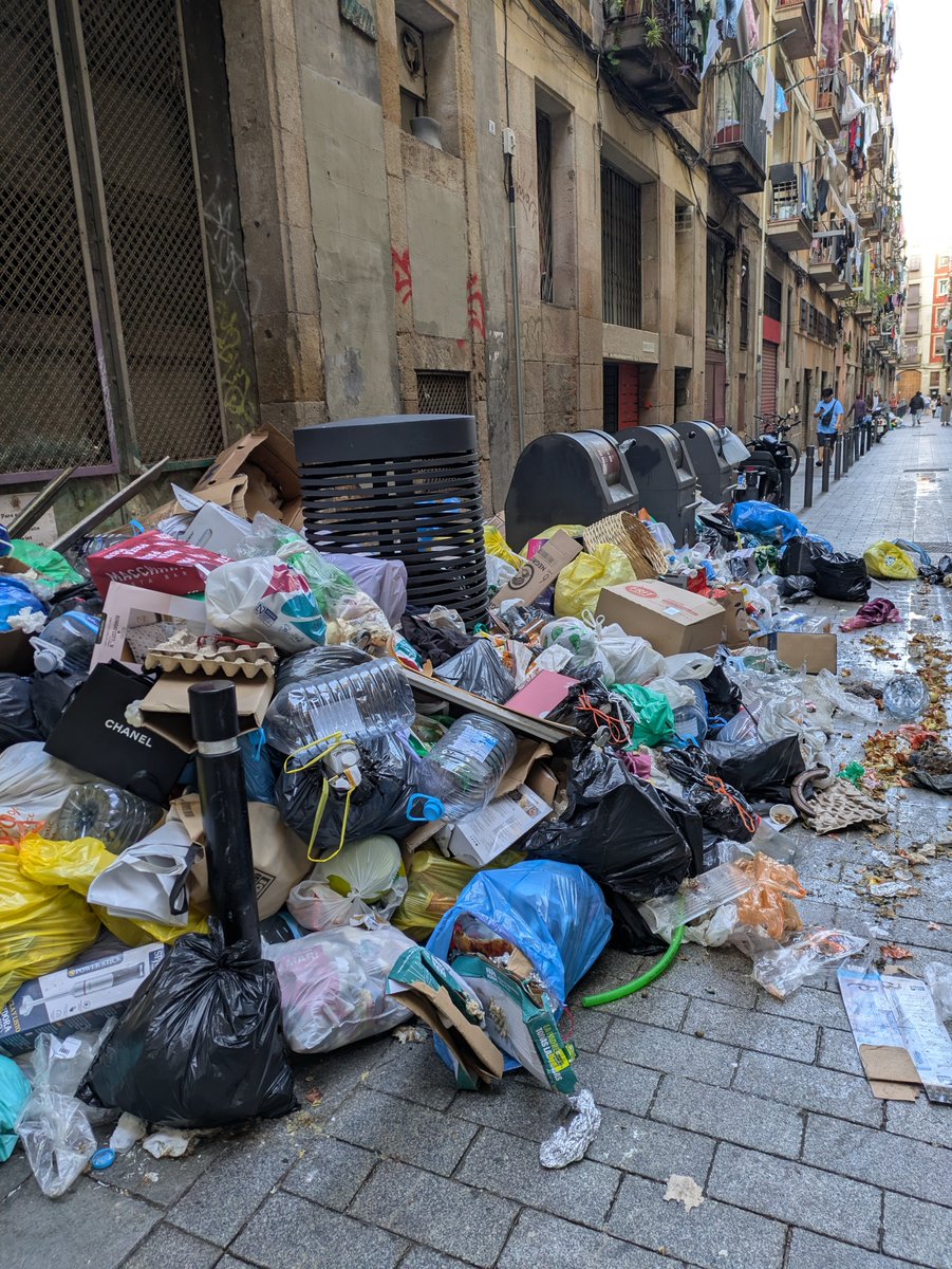 PinxusEP's tweet photo. La insalubritat al #Raval és un fet habitual. 

 @Albert_Batlle_B @jaumecollboni  @bcn_ajuntament @btvnoticies

Què hem de fer? A qui ens hem de dirigir? 

C. Vistalegre ara mateix. https://t.co/CKPcVIJZCU