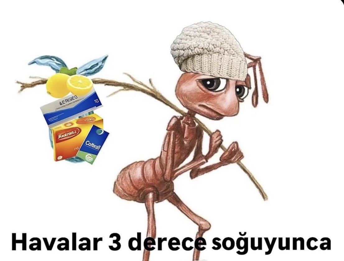 VerstappensLaw's tweet photo. Her yıl aksatmadan ekim ayı başında hasta olmak https://t.co/tj4wP8vrYi