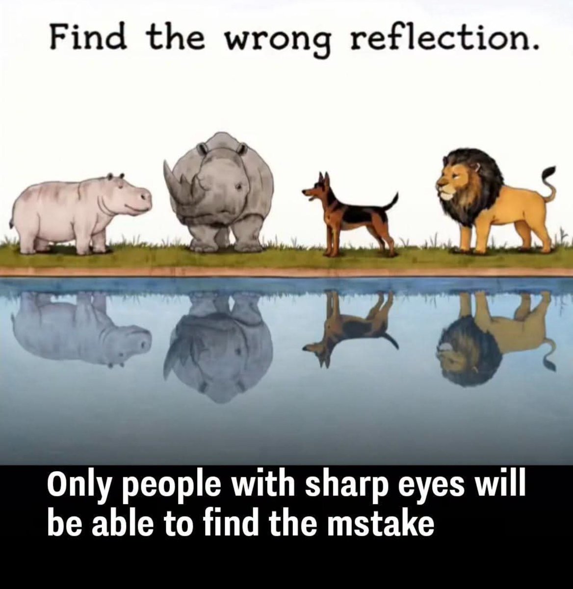 Samantharviny's tweet photo. Only sharp eyes will get this... https://t.co/9U0EP8G5iT