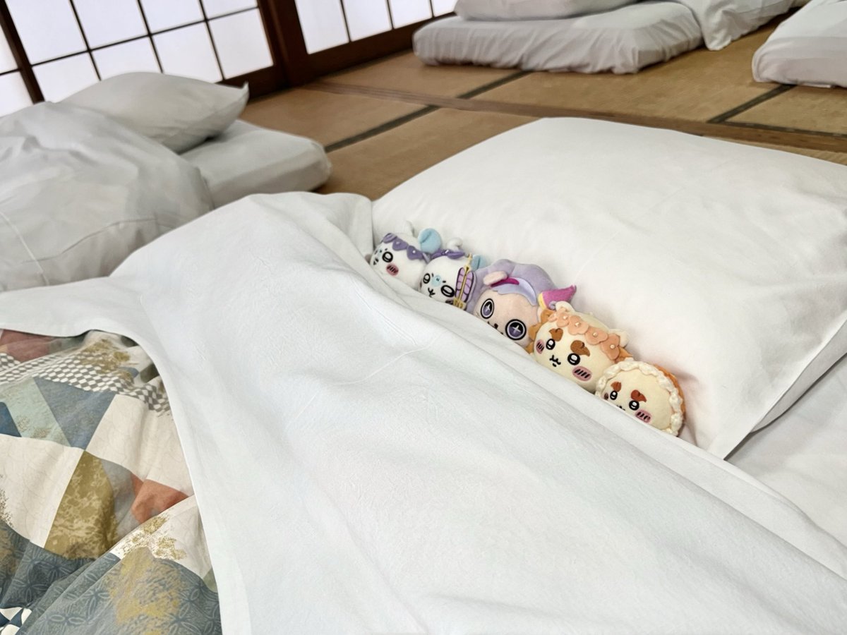kn__929's tweet photo. この前のお泊まり会🧸（ぬい編）
このあとに、カニちゃんとちいかわちゃんも来たのに撮り忘れてた、、、🥹笑 https://t.co/I1VCfpn9fR