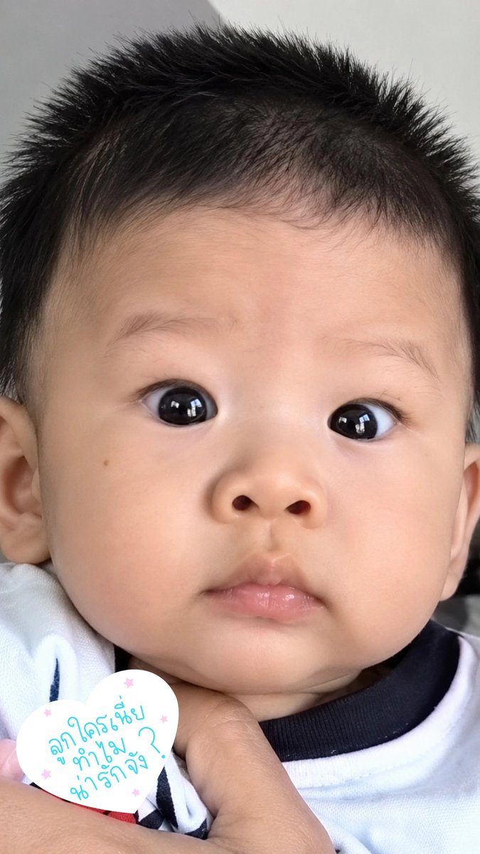 Cherithai26's tweet photo. 🫳🏼👶🏻💕⭐️🐷 https://t.co/w5x9prCP9z